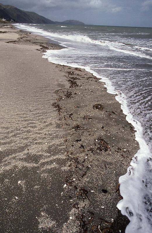 WT 0200 028-24 New Zealand.jpg